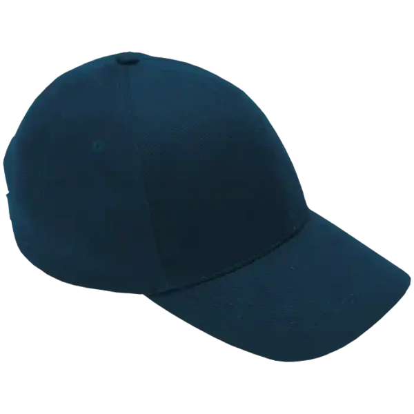 Cap 6 Panel Brushed Cotton