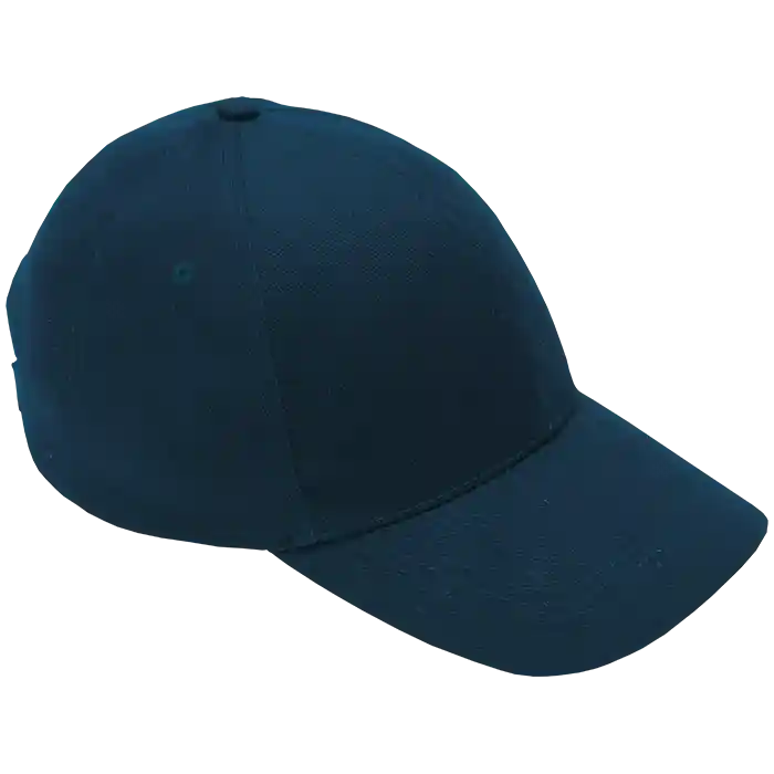 Cap 6 Panel Brushed Cotton