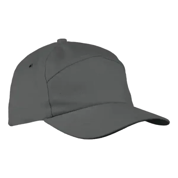 Cap 6 Panel Carbon