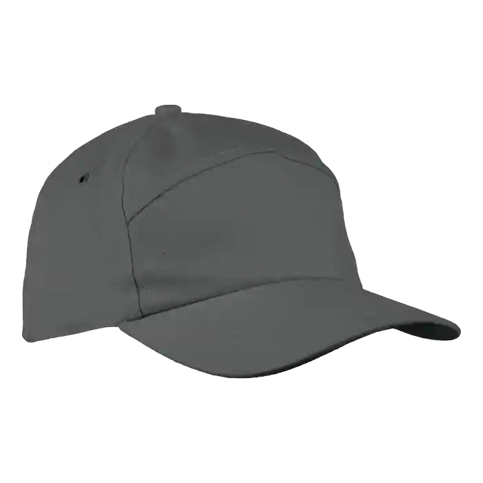 Cap 6 Panel Carbon